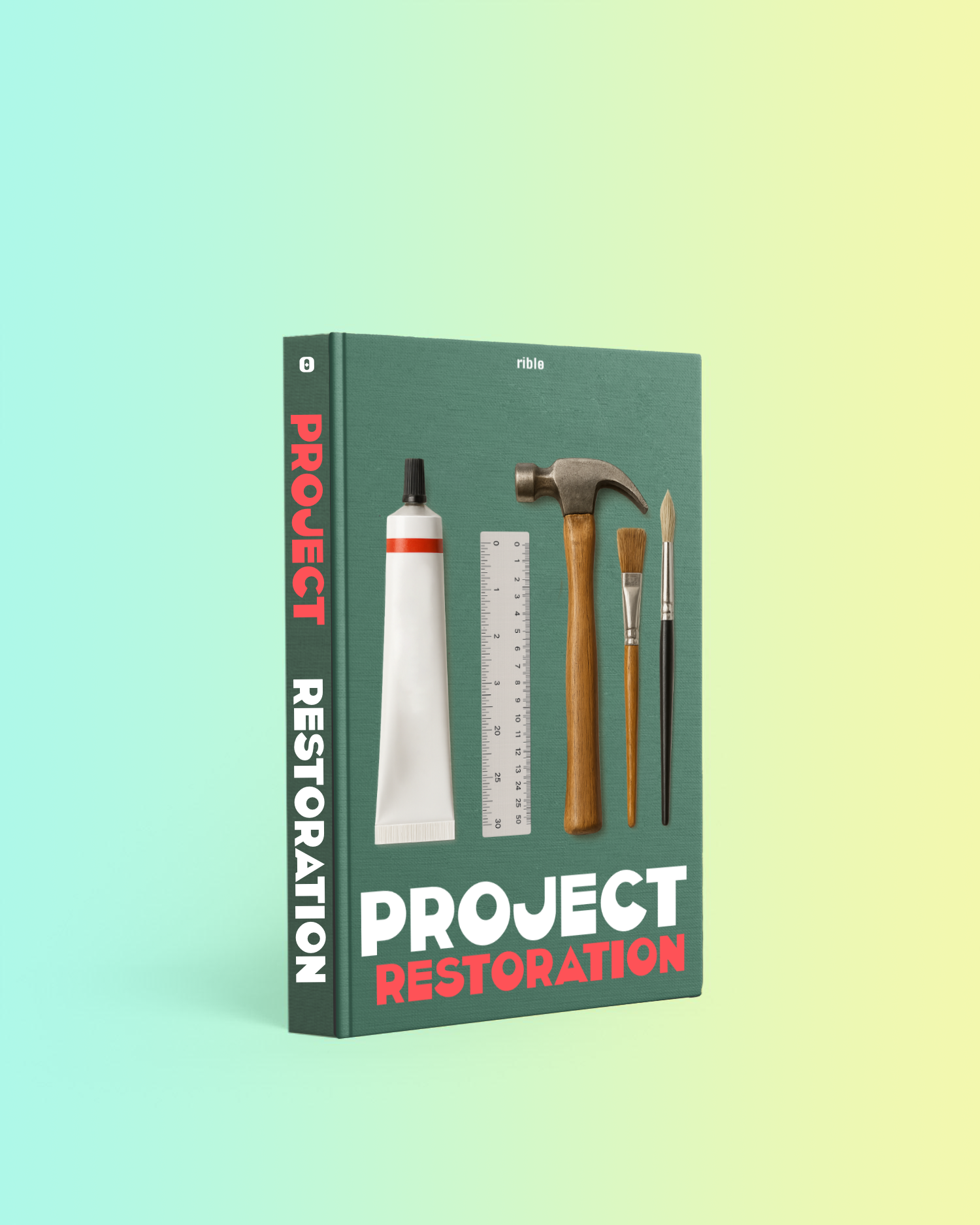 Projekt Renovierung